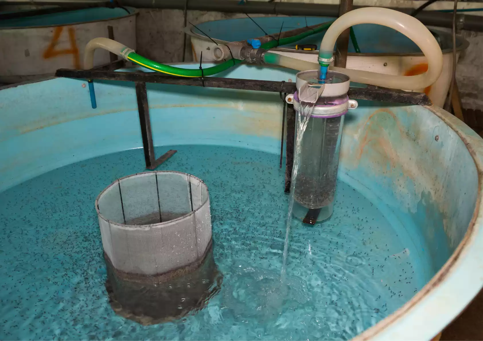 Hatcheries & Nurseries